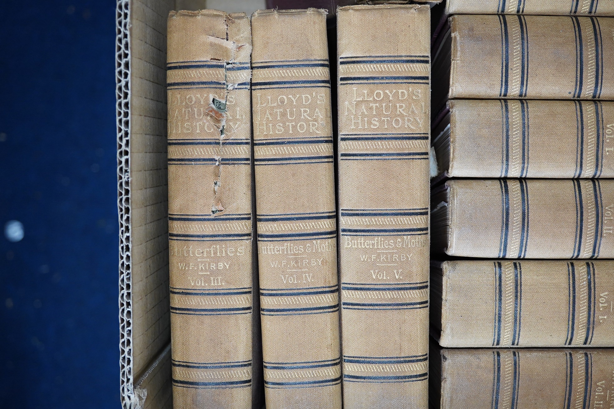 Lloyd (Edward, publisher). Lloyd's Natural History, edited by R. Bowdler Sharpe, 16 vols, 8vo, red cloth, spines sunned, extremities a little rubbed, comprising - Butterflies, 5 vols.; Birds, 4 vols.; Game Birds, 2 vols.